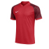 NIKE Trophy VI Dri-FIT Trikot Herren 354 - hyper...