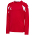 hummel hmlCORE 2.0 langarm Trikot Kinder 2114 -...