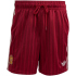 adidas RFEF Spanien Sweatshorts 2026 Herren JZ2257 - team...