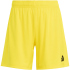 adidas Entrada 26 Trainingsshorts Damen JZ2533 -...