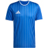 adidas Entrada 26 Graphic Trikot Herren KB3970 - team...