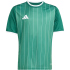 adidas Entrada 26 Graphic Trikot Kinder KB3983 - team...