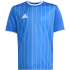 adidas Entrada 26 Graphic Trikot Kinder KB3983 - team...