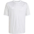 adidas Entrada 26 Graphic Trikot Kinder KB3983 - team...