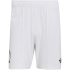 adidas RBFA Belgien Authentic Auswärtsshorts 2026...