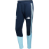 adidas AFA Argentinien Tiro Trainingshose 2026 Herren...