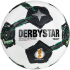 DERBYSTAR DFB-Pokal 2025/26 Brillant S-Light 290g...
