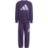 adidas Essentials Jogginganzug Kinder JW2439 - aurora...