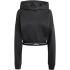 KC7664 - black