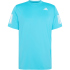 KB9728 - signal cyan