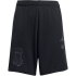 adidas x Minecraft Trainingsshorts Kinder KA0243 - black 152