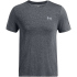 015 - tetra gray/reflective