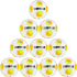 10er Ballpaket DERBYSTAR Apus TT DB Fußball...