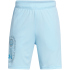 UNDER ARMOUR Tech Summer Trainingsshorts Jungen 001 -...
