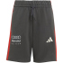 adidas Audi Formel 1 Team DNA Shorts Kinder KE6779 -...