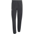 adidas TERREX Xperior Clima365 leichte Laufhose Herren...