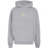 adidas AMG Washed Hoodie Herren KQ8356 - grey three S