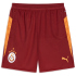 PUMA Galatasaray Istanbul Trainingsshorts 2025/26 Herren...
