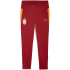 PUMA Galatasaray Istanbul Trainingshose 2025/26 Kinder 01...