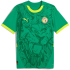 PUMA FSF Senegal Auswärtstrikot 2025 Herren 03 -...