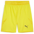 PUMA teamFINAL Shorts Herren 01 - PUMA red/PUMA...