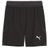 PUMA teamFINAL Shorts Herren 01 - PUMA red/PUMA...