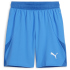 PUMA teamFINAL Shorts Herren 01 - PUMA red/PUMA...