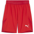 PUMA teamFINAL Shorts Herren 01 - PUMA red/PUMA...