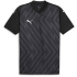 PUMA teamGLORY Trikot Herren 02 - electric blue...