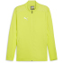 PUMA teamFINAL Trainingsjacke Herren 30 - electric...