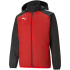 PUMA teamLIGA Allwetter Jacke Herren electric blue...