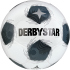 DERBYSTAR Apus TT Fairtrade Fußball Trainingsball...