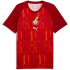 PUMA Ghana Aufwärmshirt 2026 Herren 06 - dark...
