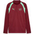 PUMA SFV Schweiz 1/4-Zip Trainings-Top 2026 Herren 09 -...