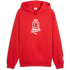 PUMA ÖFB Österreich ftblCulture Relaxed Hoodie...