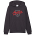 PUMA ÖFB Österreich FtblCulture Hoodie Kinder...