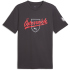 PUMA ÖFB Österreich FtblCulture T-Shirt Herren...