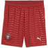 PUMA FPF Portugal Shorts 2026 Kinder 01 - club red/green...