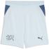 PUMA SFV Schweiz Shorts 2026 Kinder 02 - sea glass/dark...