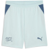 PUMA SFV Schweiz Shorts 2026 Herren 02 - sea glass/dark...