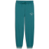 PUMA Class Graphic French Terry Jogginghose Jungen 41 -...