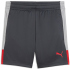 PUMA IndividualLIGA Trainingsshorts Kinder 01 - gray...