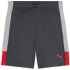 PUMA IndividualLIGA Trainingsshorts Herren 01 - gray...