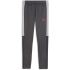 PUMA IndividualLIGA Trainingshose Kinder 01 - strong...