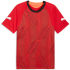 PUMA IndividualFINAL Fußballtrikot Herren 01 -...