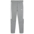 PUMA teamEVOSTRIPE Jogginghose Kinder 33 - medium gray...