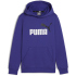 PUMA Ess+ Metallic 2 Col Big Logo Fleece-Hoodie Jungen...