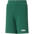 PUMA Essentials+ 2 Col Shorts Jungen 37 - vine 152