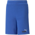PUMA Essentials+ 2 Col Shorts Jungen 37 - vine 152