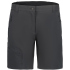 ICEPEAK Beaufort Outdoorshorts Damen 032 - cement 36